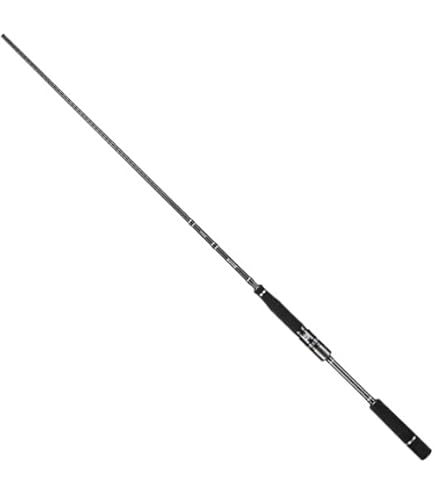 Amazon | Jackson(ジャクソン) ジェスター JSS-610M-SP | ジャクソン