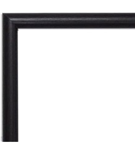 Amazon.co.jp: 大額(Daigaku) 横長額 600×300 シタン色 アクリル 5899