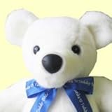 メイト１体（刺繍付き）！　体重ベア（ウエイトベア）出産祝い・結婚式ウエディング人気ギフト (刺繍つき)