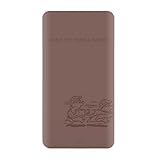 グルマンディーズ ディズニーキャラクター ／ USB/USB Type-C 4000mAh リチウムイオンポリマー充電器 2.1A チップ＆デール DN-996CD