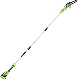 Greenworks(グリーンワークス) 充電式高枝切り電動チェーンソー 24Vハイパワーで高速カット ガイドバー20cmコードレス型ポール