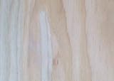 1 / 2 " Marine Grade合板2 ' x 4 '