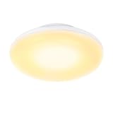 LEDシーリングライト 4-6畳 薄型設計 小型 16W 1520lm 100形相当 電球色 高輝度 LEDライト照明 天井照明 一体型装着 しーりんぐらいと 廊下 和室 玄関 階段 台所 洗面所 トイレ 門灯 省エネ 取付簡単 PSE認証済み (電球色)