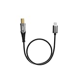 FiiO LD-LT1 Lightning端子からタイプB端子へ直結可能なデータ伝送ケーブル