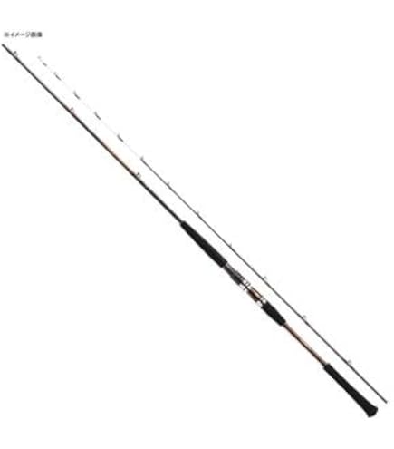 Amazon | ダイワ(DAIWA) 船竿 アナリスター64 30-300 釣り竿