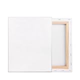 F3 2枚 セット キャンバス 張りキャンバス キャンバス画材 canvas 油絵・アクリル絵に適用 (273mm*220mm*2枚)