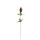 Bulk Buy : Darice DIY Crafts Rosebud Flower Stem Burgundy 19インチ( 12パック) rc-7213 – 69