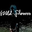 Wild flowers