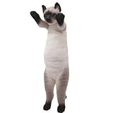 たっちぃZoo にゃんこ シャム猫 たっちぃZOO ねこ しゃむ しゃむ猫 シャム 株式会社リード 正規品 ねこ 猫 にゃんこ アニマル ヌイグルミ ぬいぐるみ 動物 たっちい