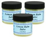 WiseWays Herbal Natural Skin Care Lemon Balm Salve, 1 Ounce, by WiseWays