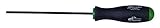 Bondhus 33830 TR30 Tamper Resistant Star Tip Screwdriver with ProGuard Finish 6 [並行輸入品]