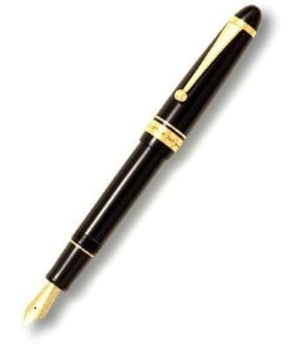 Amazon | PILOT万年筆 カスタム743 ペン種：14K 15号 F／軸色