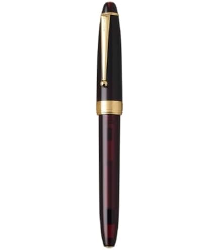 Amazon | PILOT パイロット 万年筆『カスタムNS』FKNS-1-L-F