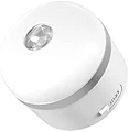 EcoFlow ランタン キャンプライト キャンプランタン LEDランタン USB充電式 アウトドア 登山 キャンプ用品 夜釣り 応急 防災 停電用 照明ライト ワイト