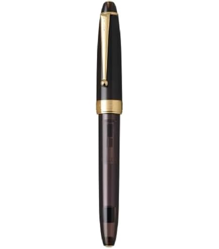 Amazon | PILOT 万年筆 マンネンヒツカスタム NS BEF ブラック