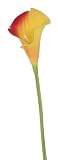 EOZY 造花 ミニオランダカイウ 観葉植物 ドライフラワー インテリア アクセサリー アレンジメント ディスプレイフラワー アートフラワー パーティー おしゃれ 赤黄色