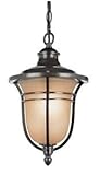 Transglobe Lighting 5704 ROB Outdoor Hanging Pendant with Amber Glass Shade, Rubbed Oil Bronze Finis
