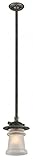 Troy Lighting Pearl Street 8.25"W 1-Light Outdoor Pendant - Charred Zinc Finish with Clear Outer and