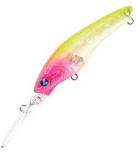 Amazon | Jackson(ジャクソン) ジェスター JSC-66TL-P+ | ジャクソン