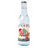 友桝飲料 指宿温泉サイダー 330ml瓶×24本入×(2ケース)