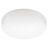 オーム電機 シーリングライト LED 小型 100形 1650ルーメン 昼光色 ミニシーリング 玄関 トイレ 洗面所 LE-Y13B-WD 06-5063 OHM