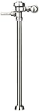 ロイヤル137フラッシュバルブ