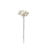 asca アップルベリーピック (1袋6本入) ホワイト 11cm A-15324
