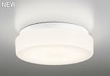 オーデリック 屋外用LED共用灯 廊下灯 電球色 シンプル おしゃれ リフォーム リノベーション