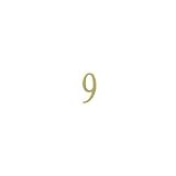 Polished Brassアドレス番号9 2 in 3 in. BR3-9