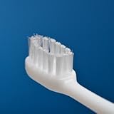 Ci ぬりぬりブラシ 20本