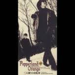 ��l���̎��]��