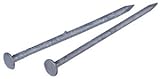 Acorn Manufacturing CCR16V 16D Common Rosehead Nail44; 5 lbs
