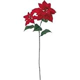 ベルベットポインセチアX2 R