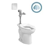 American Standard 6067.121.002 1.28 Gpf Selectronic Exposed Ac Flush Valve System, Chrome [並行輸入品]