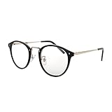 [FEELLIFE] 調光レンズサングラス PH5099 ボストン ブラウン UVカット ブルーライトカット 鯖江メーカー企画