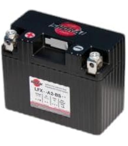Amazon.co.jp: SHORAI LFX Battery Charger/Tender (Japan-specific