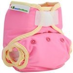 Best Bottom Cloth Diaper Shell-Hook and Loop, Strawberry Shortcake by Best Bottom Diapers [並行輸入品]