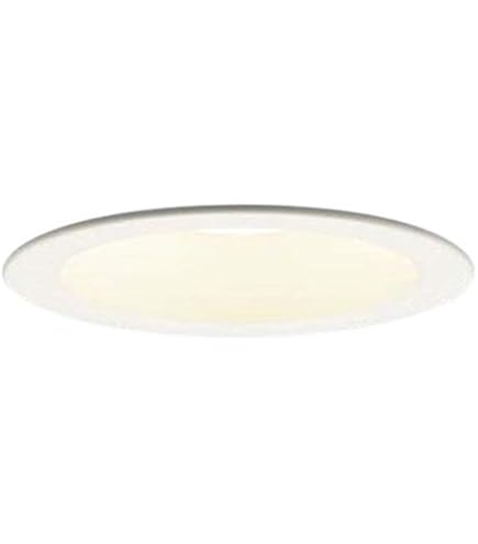 Amazon | パナソニック(Panasonic) 天井埋込型 LED 電球色 軒下用