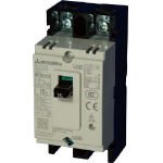 三菱電機 ノーヒューズ遮断器 NF-Cシリーズ(経済品) NF30-CS2P15AWW (438-5870)