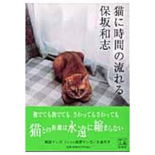 保坂和志 著作セット あの人の園 音の散歩道 未明の闘争 など 保坂和志 著作セット あの人の園 音の散歩道 未明の闘争 など