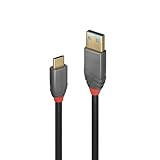 LINDY 0.5m ANTHRA LINE USB3.2 Gen2 Type-C to Type-Aケーブル+PDスマートチップ(型番:36910)