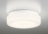 オーデリック 屋外用LED共用灯 廊下灯 電球色 シンプル おしゃれ リフォーム リノベーション