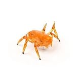 Hexbug Scarab - Orange おもちゃ (並行輸入)