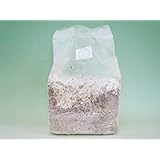 Amazon 菌糸ブロック E ブロック クワガタ幼虫用 月夜野きのこ園 餌 通販