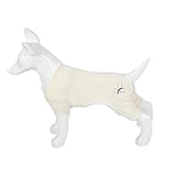 PetGround 犬 服 夏 ロンパース ひんやり メッシュ 濡らす UVカット 半袖 夏服 伸縮性 可愛い 防虫 冷感 男の子 女の子 小型犬 中型犬 (ホワイト, XS)