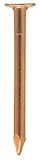 WAKAI 銅釘 平頭 16X19mm 約254本入(約100g) 5I1619