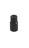 Lisle 26800 1/4 Drive External Torx Socket E-8 [並行輸入品]