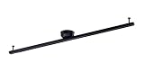 Panasonic 照明器具用 インテリアダクト 黒 天井直付型 LSK50001