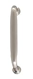 Brass Accents Inc C02-P5710-619 Colonial Revival Pull - 7.5 in. C-C - Satin Nickel