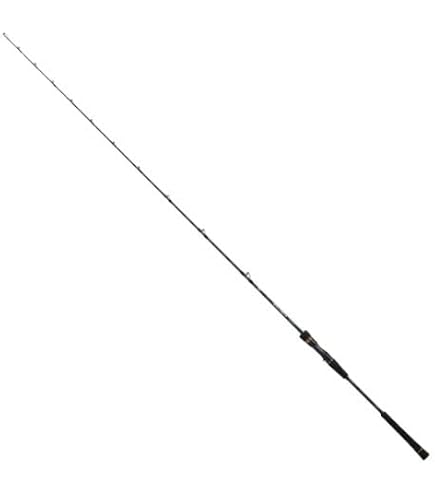 SALTIGA COSTA 55S-374 ジギングロッド Amazon | ダイワ(DAIWA) ジギングロッド SALTIGA(ソルティガ) J